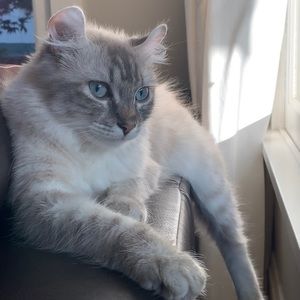 Meet your Posher, Alessandra